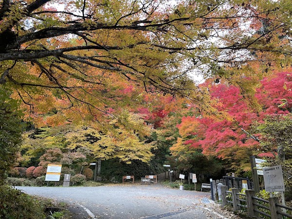 Shiroyama Park 4