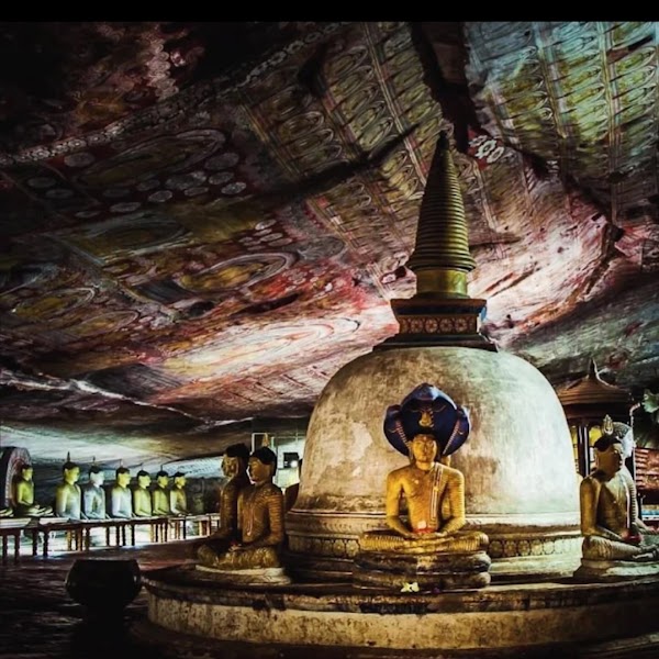 Dambulla Royal Cave Temple and Golden Temple 4