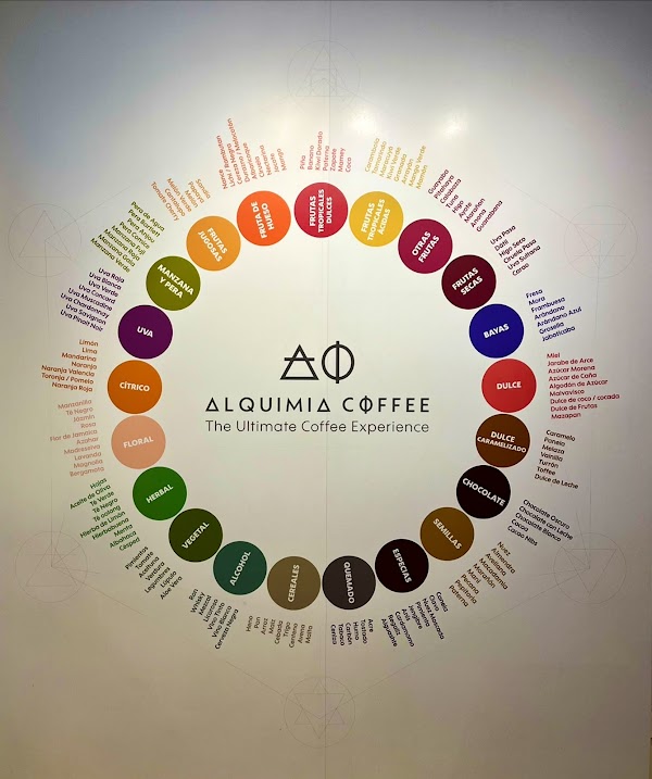 Alquimia Coffee | San Benito 3