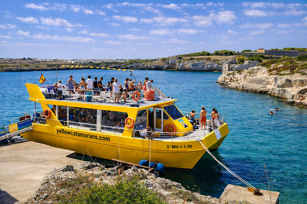 Yellow Catamarans 1