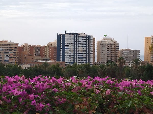 Gibralfaro 5