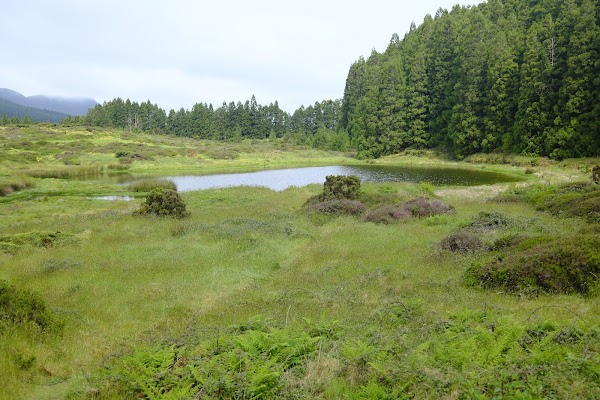 Açores 67