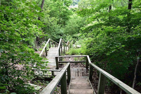 Crothers Woods 1