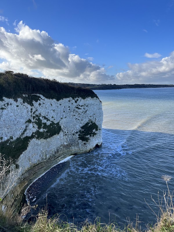 Old Harry Rocks Jurassic Coast 3