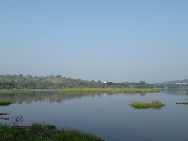 Carambolim Lake