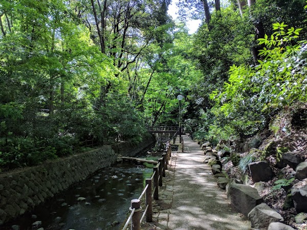 Todoroki Ravine Park 4