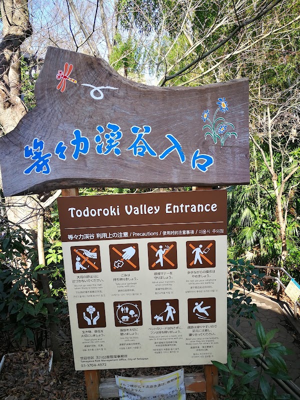 Todoroki Ravine Park 2