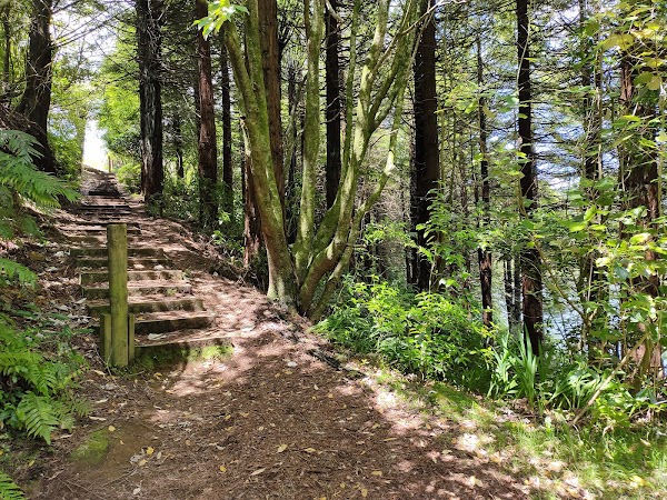 Lake Mangamahoe 3
