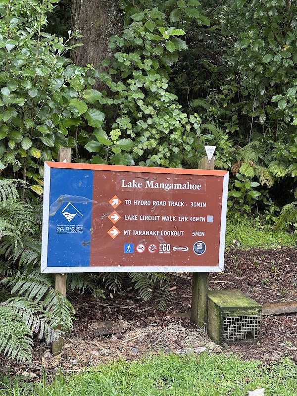 Lake Mangamahoe 2