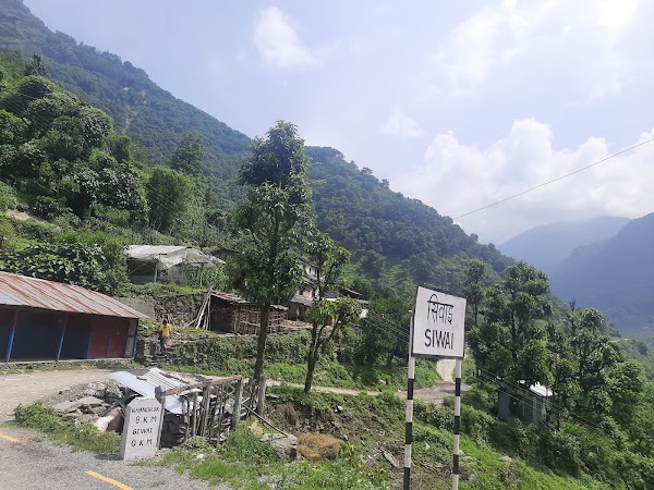 Siwai