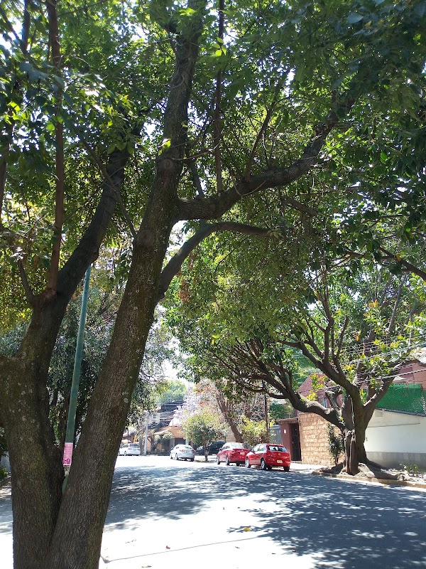 Parque San Andrés 1