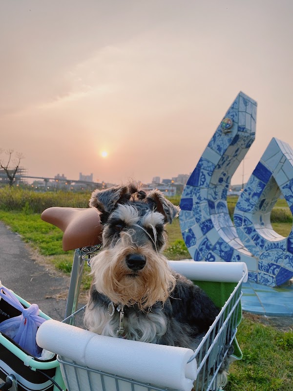 Yingge District 5