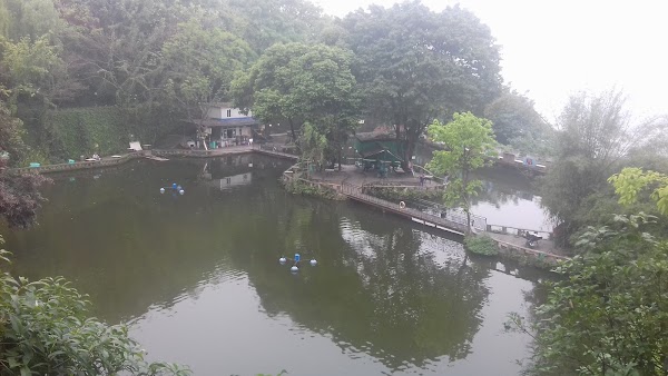 Chongqing Amusement Park 3