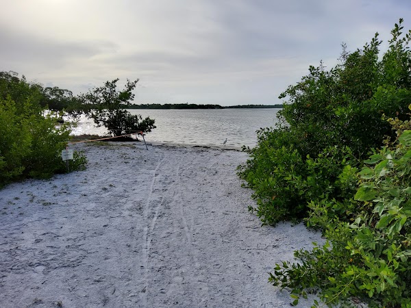 Estero Bay 1