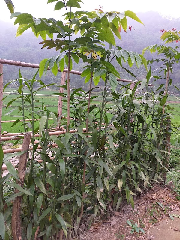 Northern Vietnam 5