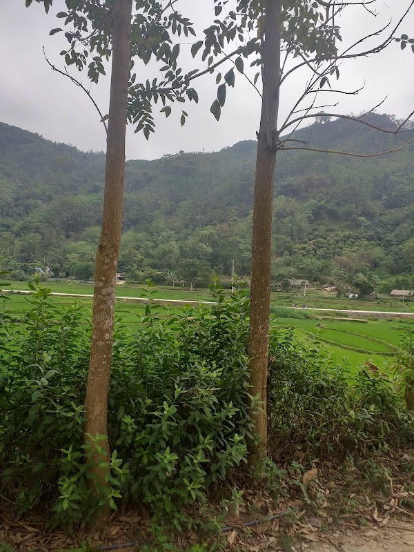 Northern Vietnam 4