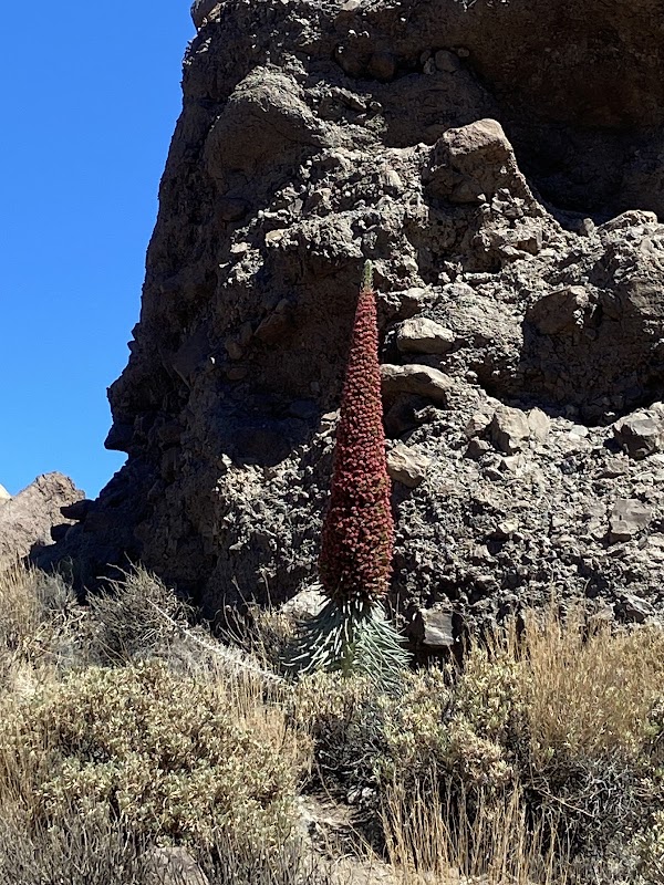 Roques de García 5