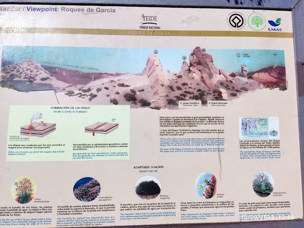 Roques de García 2