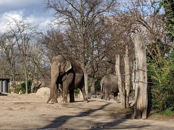 Berlin Zoological Garden 6