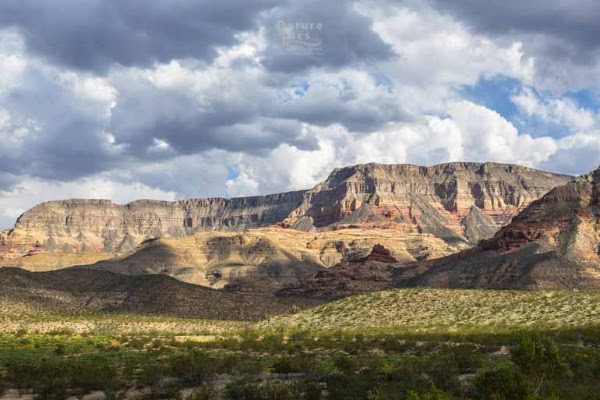 Virgin River Canyon 1