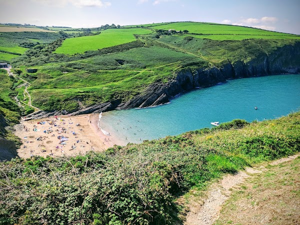 Mwnt