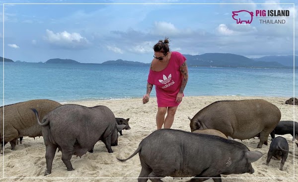 Thailand 47