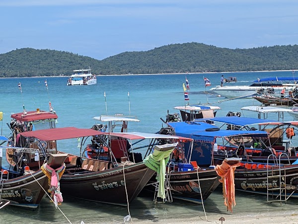 Pig Island Thailand - Koh Samui Office 5