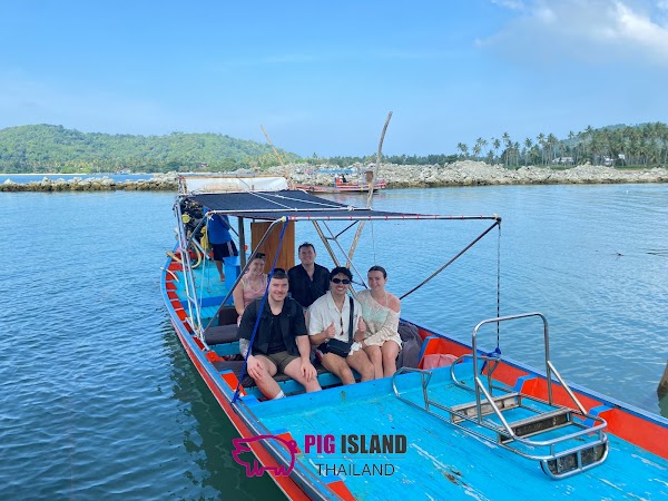 Pig Island Thailand - Koh Samui Office 4