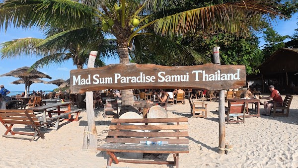 Pig Island Thailand - Koh Samui Office 2