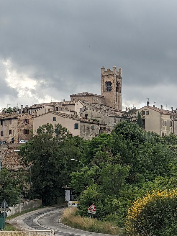 Le Marche  39