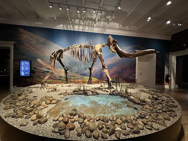 Museum of Natural History 4