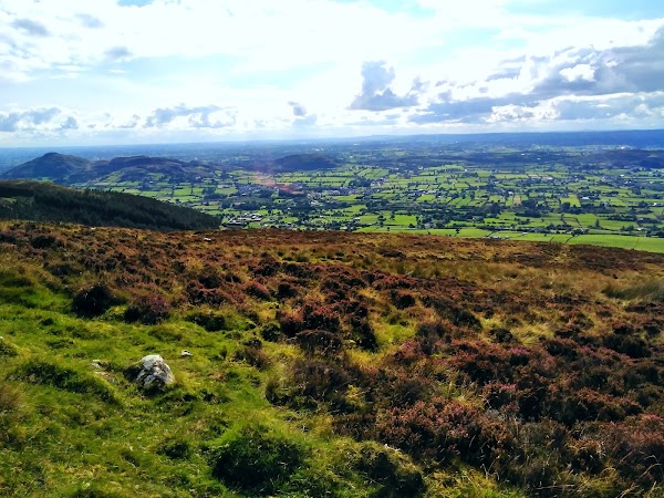 Slieve Gullion Forest Drive 1