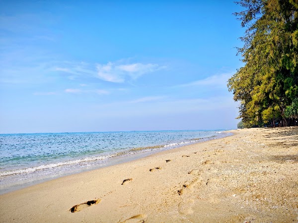 Rayong 13