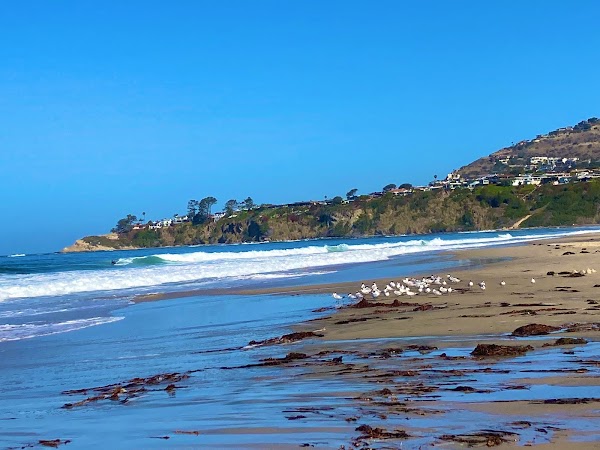 Salt Creek Beach 4