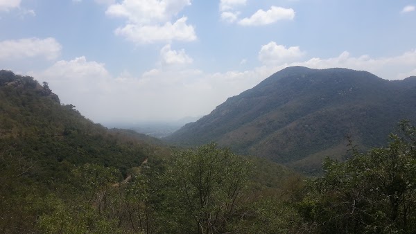 Javadi Hills 1