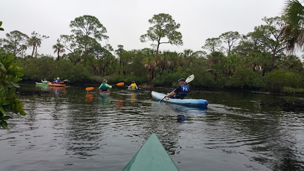 Werner-Boyce Salt Springs State Park 5