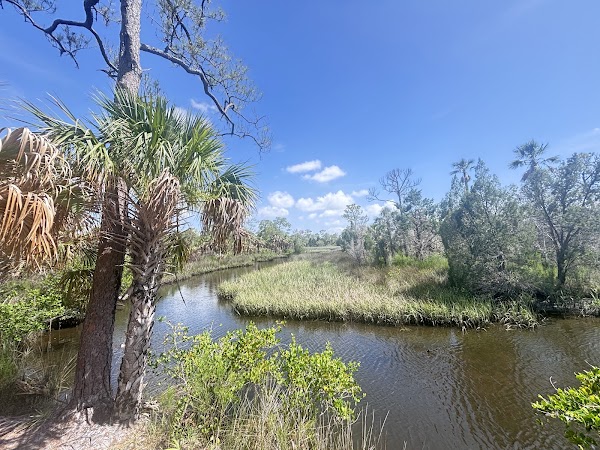 Werner-Boyce Salt Springs State Park 4