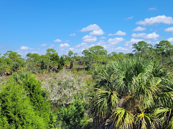 Werner-Boyce Salt Springs State Park 3