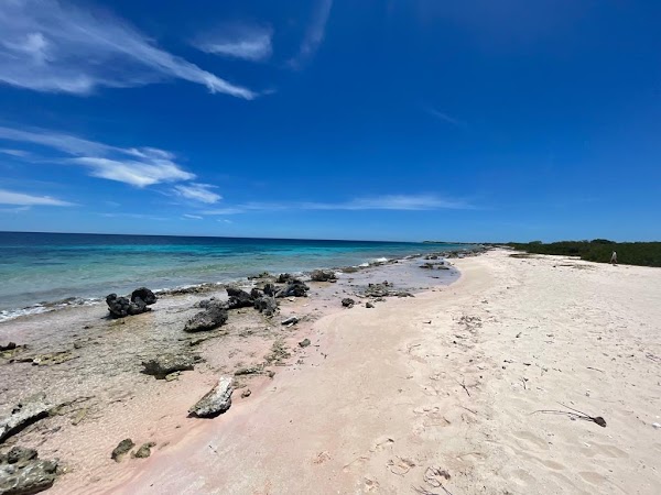 Na'vi Beach
