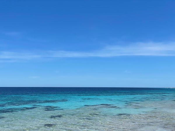 Na'vi Beach 2