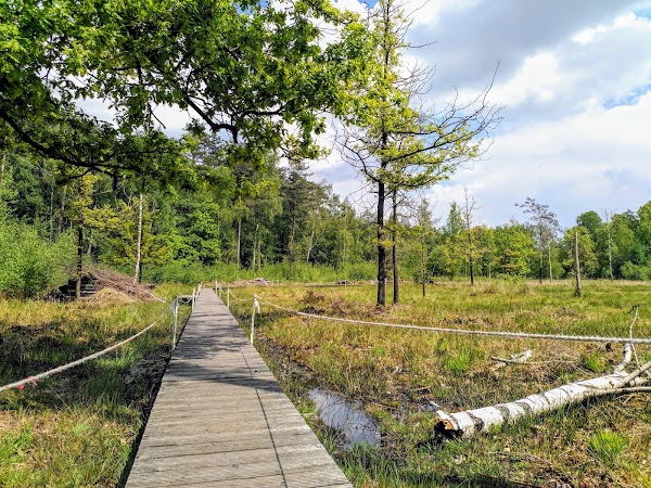 Maldegemveld