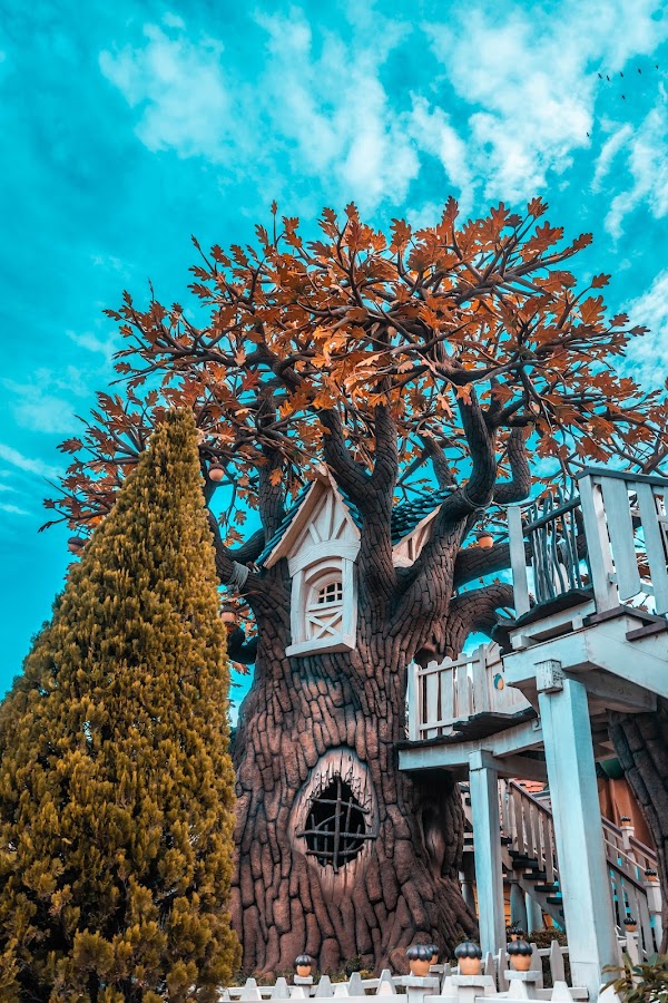 Toontown 4