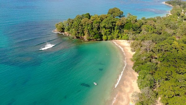Punta Uva