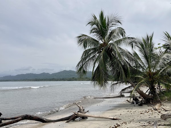 Punta Uva 2