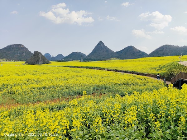 Luoping Rape Flower Main Exhibition Field