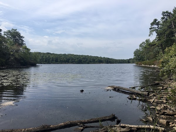 Worthington State Forest 5