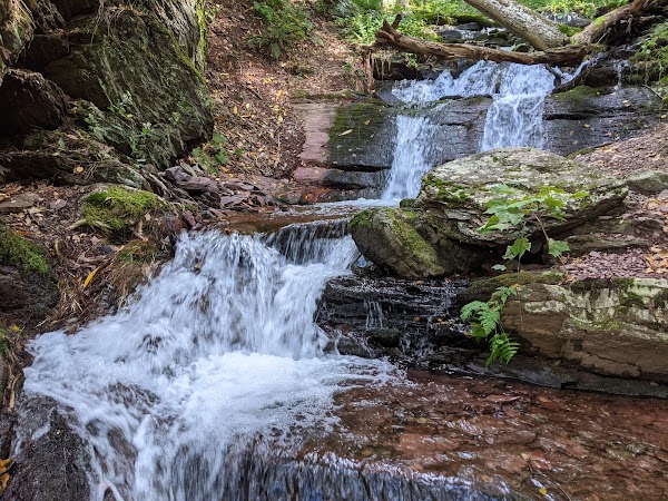 Worthington State Forest 4