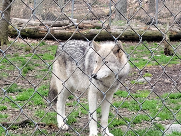 Worthington State Forest 2