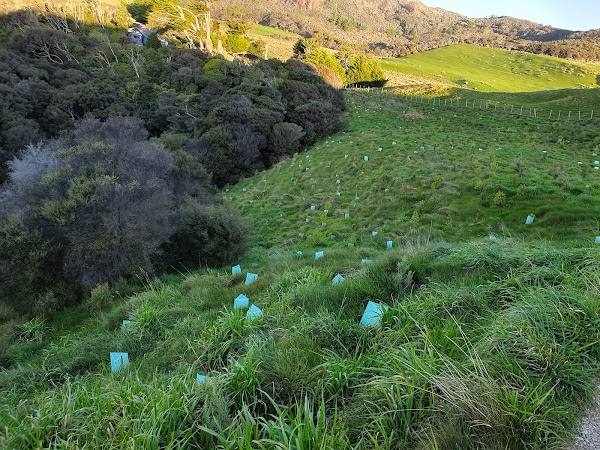 Wharariki Beach Carpark 5
