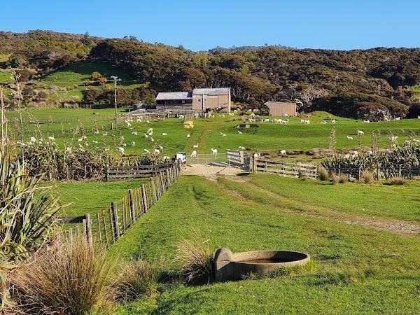 Wharariki Beach Carpark 2